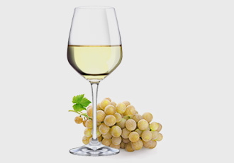 Sauvignon Blanc white wine grape variety is an international variety also grown in Zitsa in Domaine Glinavos vineyard